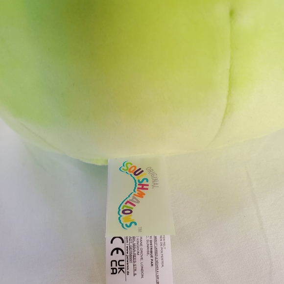 Hadeon the Grasshopper Valentines Squishmallow BNWT 8 Inch - Picture 4 of 8